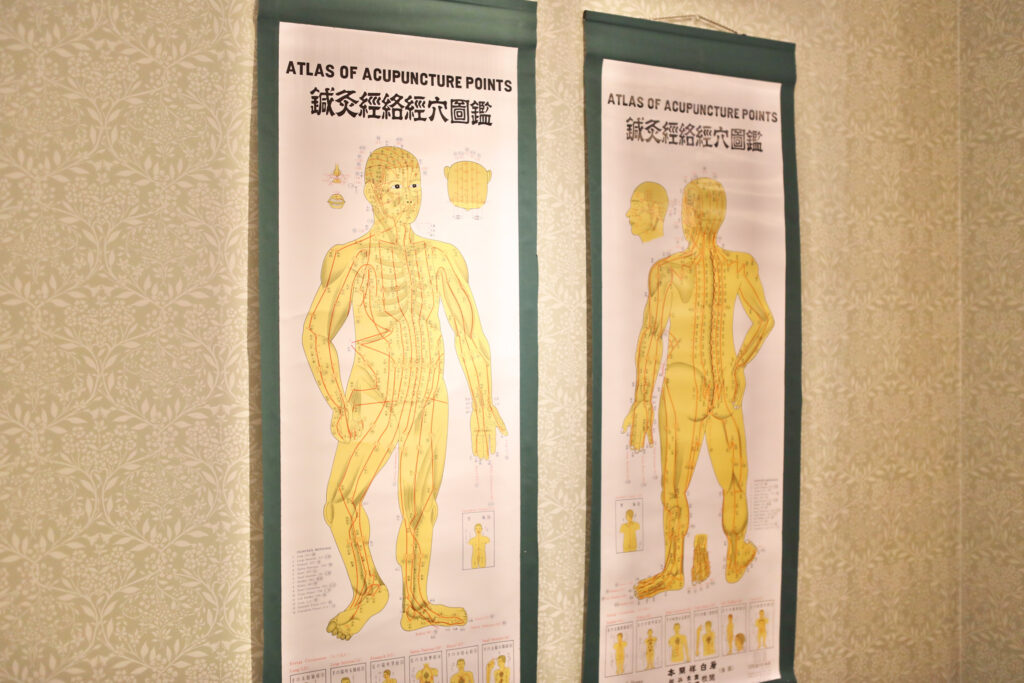 Two acupuncture meridian charts hanging in the treatment room, front and back views