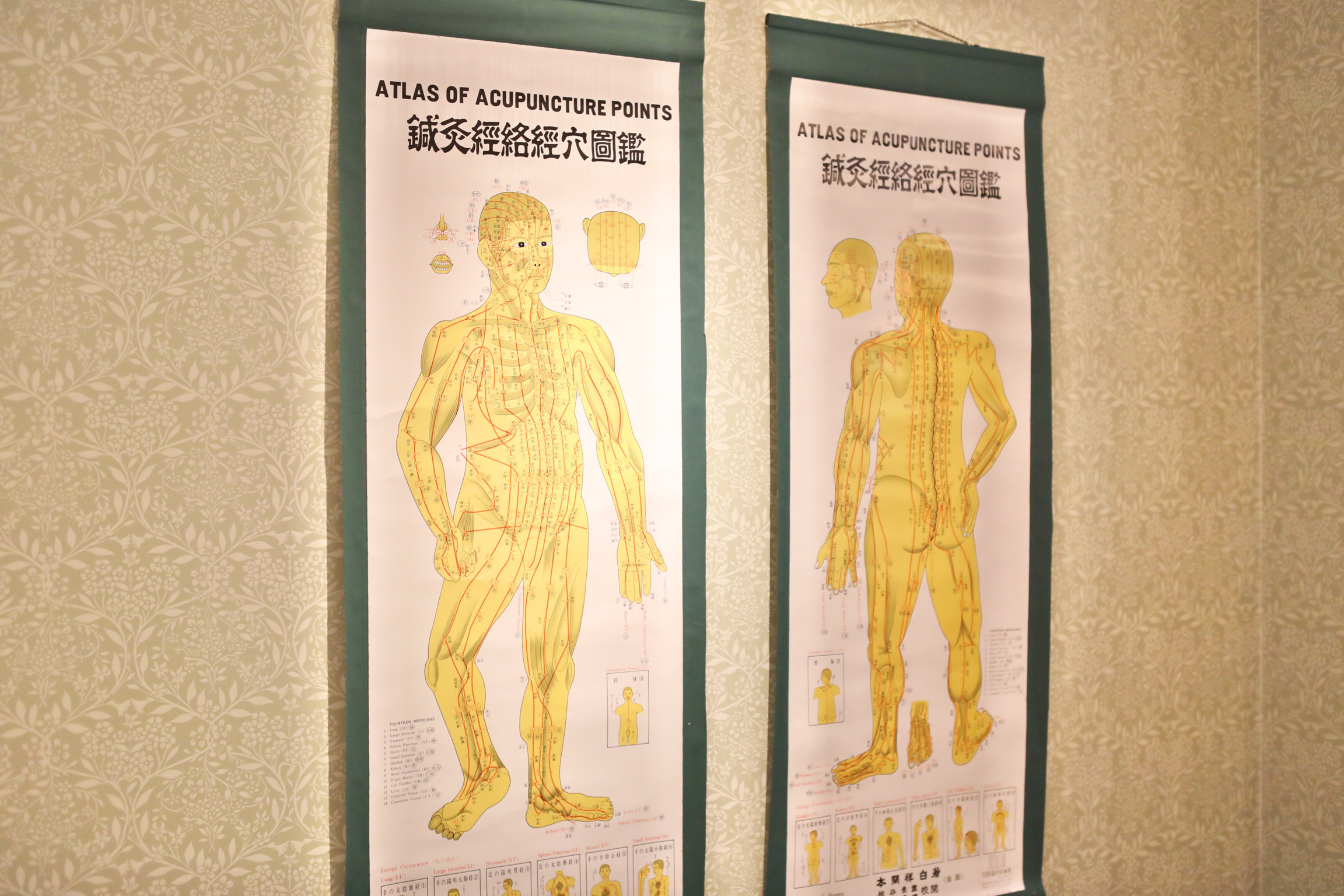 施術室の壁に掛けた鍼灸経絡経穴図